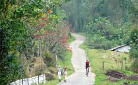 Mountain Biking to Periyar Tiger Reserve